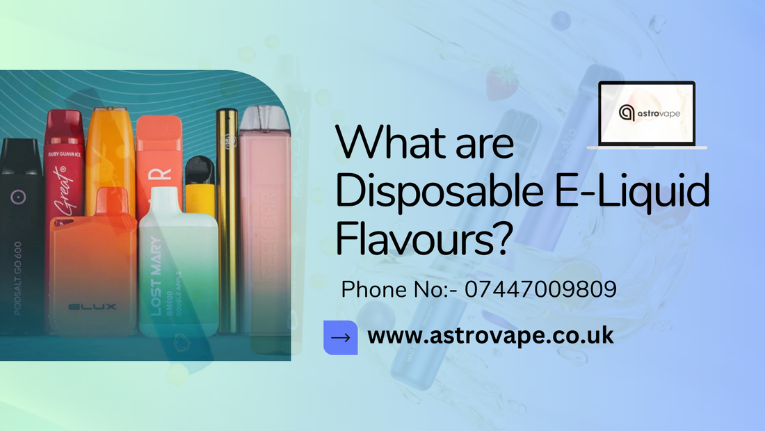 What are Disposable E-Liquid Flavours?