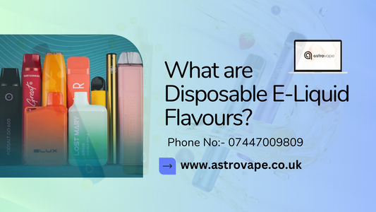 What are Disposable E-Liquid Flavours?